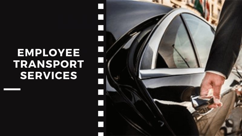 Employee transport services are preferred over buying cars for the company: Why?